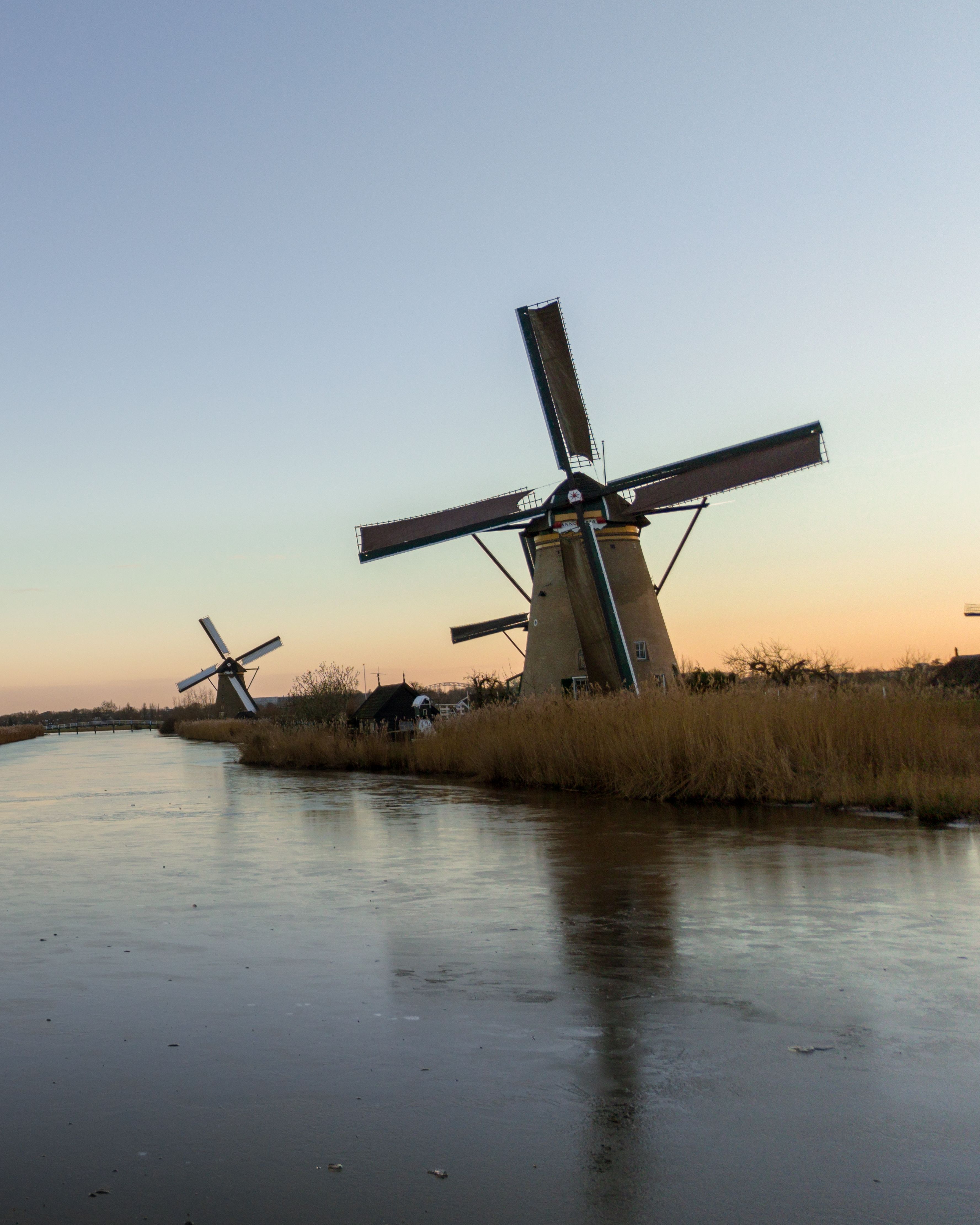 ZWITSERNet chapters across Dutch university cities